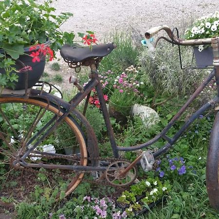 Bed and Breakfast Basse-Cour De Montin Au 256 Chemin De La Rocaille A 38510 Vezeronce Curtin Morestel Exterior foto